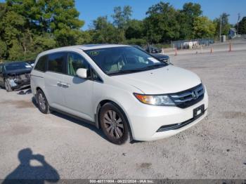  Salvage Honda Odyssey