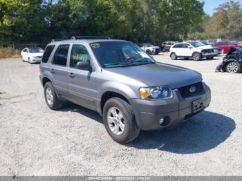  Salvage Ford Escape