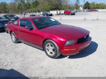  Salvage Ford Mustang