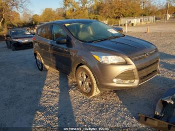  Salvage Ford Escape