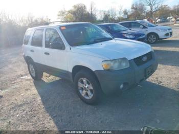  Salvage Ford Escape