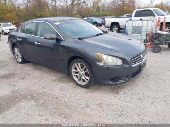  Salvage Nissan Maxima