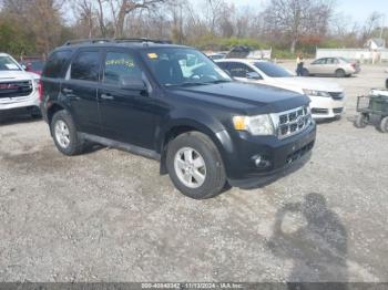  Salvage Ford Escape