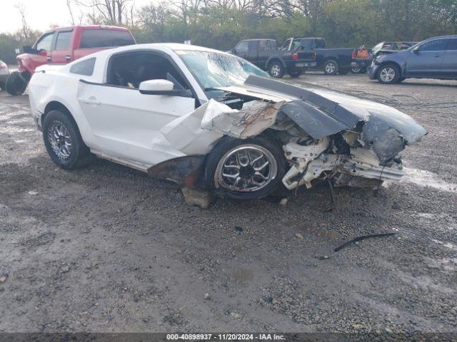  Salvage Ford Shelby GT500