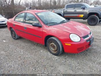  Salvage Dodge Neon