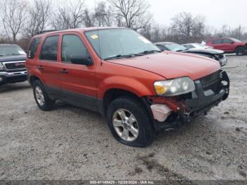  Salvage Ford Escape