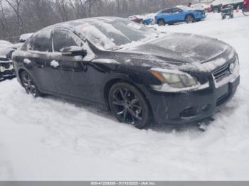  Salvage Nissan Maxima