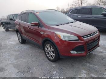  Salvage Ford Escape