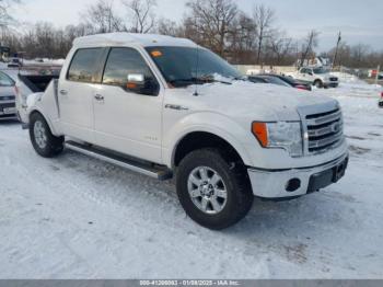  Salvage Ford F-150