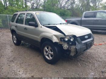  Salvage Ford Escape