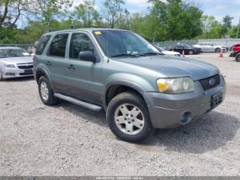  Salvage Ford Escape