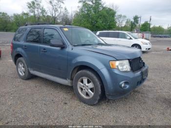  Salvage Ford Escape