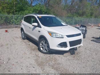  Salvage Ford Escape