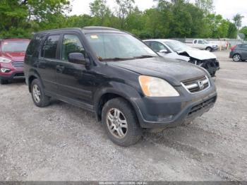  Salvage Honda CR-V