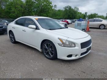  Salvage Nissan Maxima