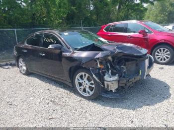  Salvage Nissan Maxima