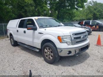  Salvage Ford F-150