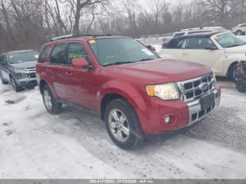  Salvage Ford Escape