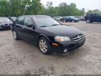  Salvage Nissan Maxima
