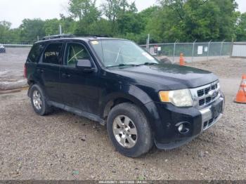  Salvage Ford Escape