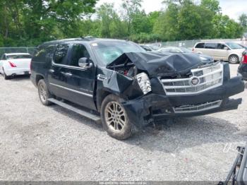 Salvage Cadillac Escalade