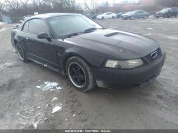  Salvage Ford Mustang