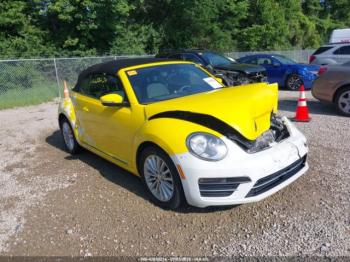  Salvage Volkswagen Beetle