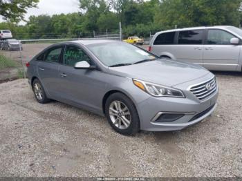  Salvage Hyundai SONATA
