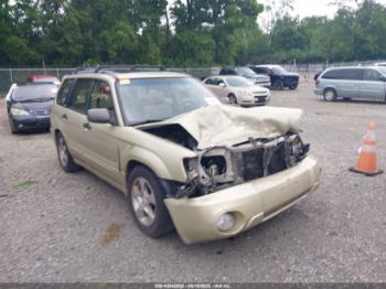  Salvage Subaru Forester