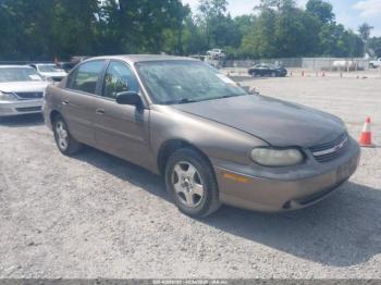  Salvage Chevrolet Malibu
