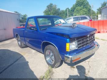  Salvage Chevrolet S Truck