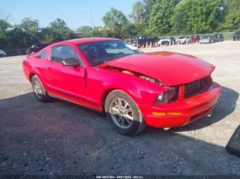  Salvage Ford Mustang