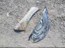 Lincoln MKS Image 14