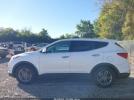 Hyundai SANTA FE 2.4l Image 11