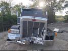 Peterbilt 378 Image 11
