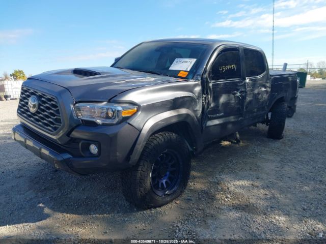 Toyota Tacoma Trd Sport Image 5