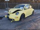 Volkswagen Beetle Gls Image 18
