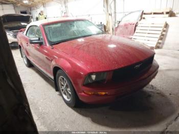  Salvage Ford Mustang