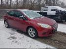 Ford Focus Se Image 1