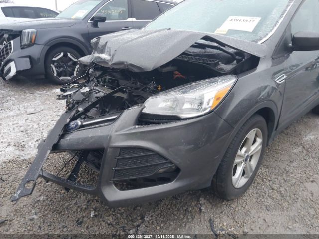 Ford Escape Se Image 16
