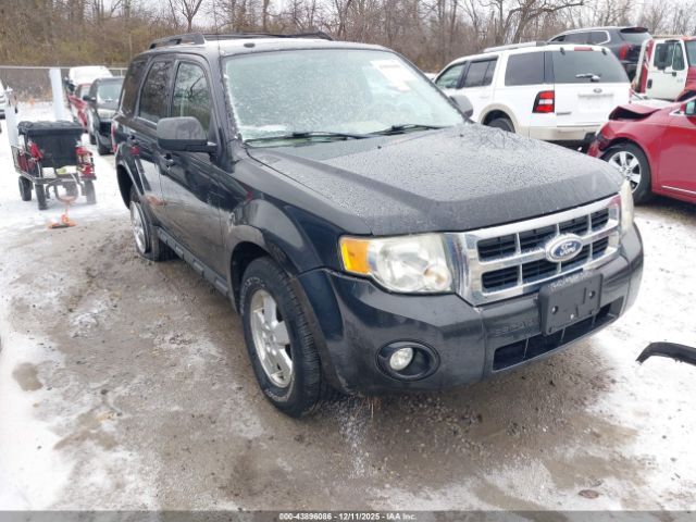 Ford Escape Xlt Image 1