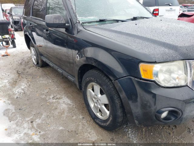 Ford Escape Xlt Image 19