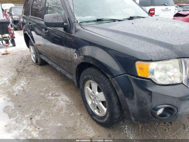 Ford Escape Xlt Image 19