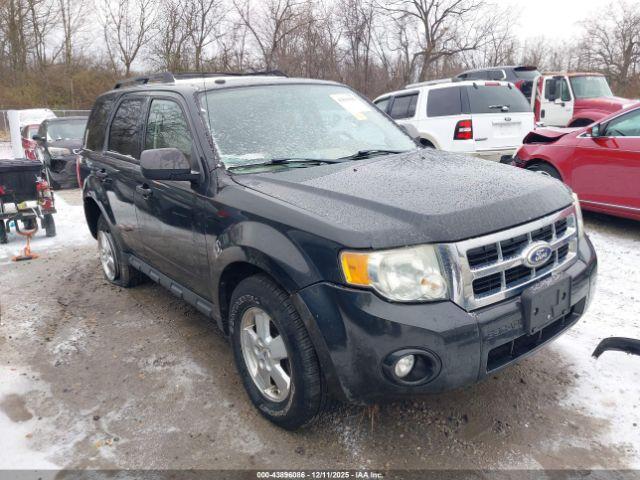 Ford Escape Xlt Image 20