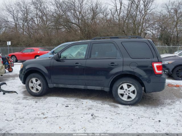 Ford Escape Xlt Image 18