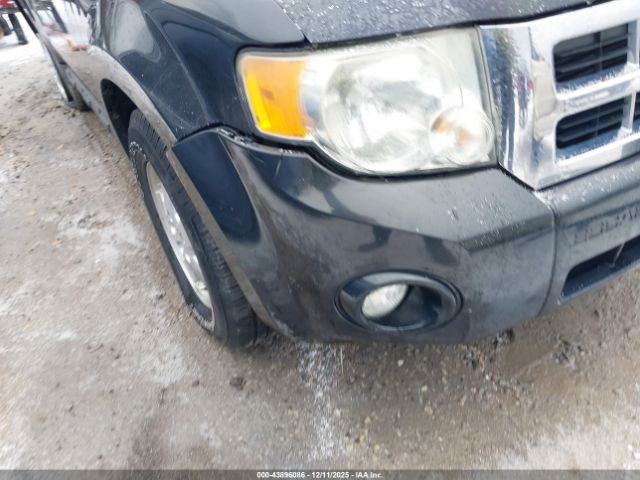 Ford Escape Xlt Image 13