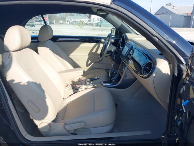 Volkswagen Beetle Image 9