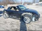 Volkswagen Beetle Image 4