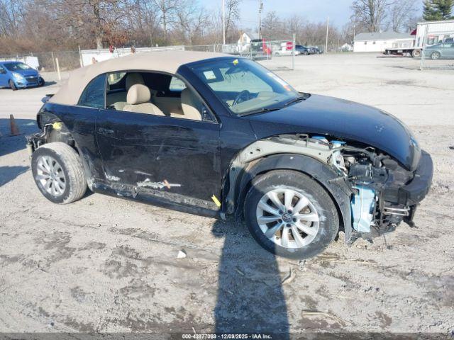 Volkswagen Beetle Image 4