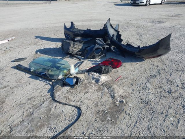 Volkswagen Beetle Image 16